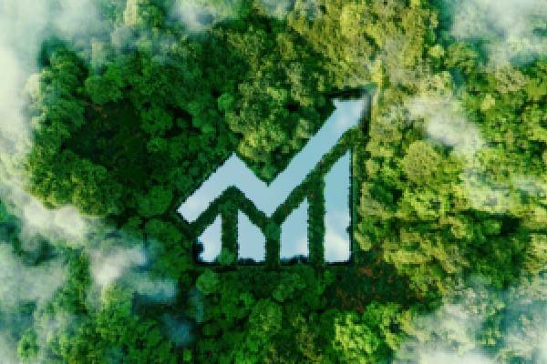 美媒：美政府恢复办理外国学生签证